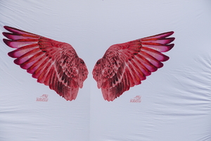 plakat różowe skrzydła
